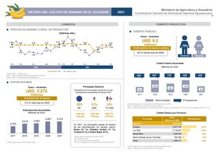 9.2
USD
COMERCIO
PRECIOS DE BANANO A NIVEL DE PRODUCTOR
FOMENTO PRODUCTIVO
Fuente: MAG – CGINA (2021)
Nota 1: Precio productor promedio ponderado nacional.
Nota 2: PMS – Precio Mínimo de Sustentación.
EXPORTACIONES
CRÉDITO PÚBLICO
Exportaciones Acumuladas
(Millones de USD)
0.2 % más que en 2020
millones
Exportaciones de banano
Enero – diciembre
En 2021, los principales países de destino
de las exportaciones de banano fueron:
Rusia (21 %), Estados Unidos (11 %),
Turquía (6 %) y Países Bajos (6 %).
Fuente: Banco Central del Ecuador (2021)
Principales Destinos
Participación de los bloques económicos en las
exportaciones ecuatorianas de banano 2021
USD 920
millones
USD 686
millones
USD 377
millones
Fuente: Banco Central del Ecuador (2021)
UE: Unión Europea
UEE: Unión Económica Euroasiática
TLCAN: Tratado de Libre Comercio de América del Norte
(Millones de USD)
Hombres Mujeres
Fuente: BanEcuador y Corporación Financiera Nacional (2021)
Nota 1: Otras incluye información de 16 provincias.
50 % menos que en 2020
millones
Crédito público de banano y plátano
Enero – diciembre
957 702 405 426
Monto otorgado Nº operaciones
585
(USD/Caja 43lb.)
Ministerio de Agricultura y Ganadería
Coordinación General de Información Nacional Agropecuaria
Crédito Público Acumulado
Crédito Público por Provincia
3,272
USD
Fuente: BanEcuador y Corporación Financiera Nacional (2021)
Nota 1: Crédito para el cultivo de banano y plátano.
Nota 2: Género corresponde a personas naturales. Además de empresas (42.7 %) y otros sin categorización (29.7 %).
6.40
6.40 6.40 6.40
6.40
6.90 6.90
6.60
4.50
6.40
6.65
4.23
3.56
5.43
6.78 7.00
7.76
4.47
4.79 6.30
ene mar jun sep dic ene mar jun sep dic
2020 2021
Banano PMS Banano Spot
2020 2021
2,753
3,019 3,060
3,267 3,272
2017 2018 2019 2020 2021
9%
19%
8.0
18.4
13.1
18.3
9.2
2017 2018 2019 2020 2021
ESTADO DEL CULTIVO DE BANANO EN EL ECUADOR 2021
28% 21% 12%
UE UEE TLCAN
Provincia
Valor
(Millones USD)
Nacional 9,225,202
Guayas 3,817,107 41%
Los Ríos 2,146,847 23%
Santa Elena 1,300,576 14%
Santo Domingo de los Tsáchilas 594,956 6%
Otras 1,365,717 15%
Participación
 