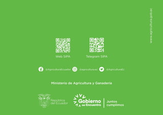 boletin_situacional_banano_2021.pdf