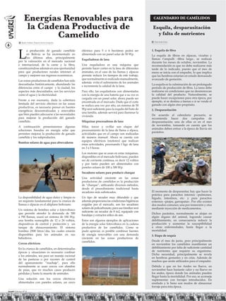 Energías Renovables para                                                                     CALENDARIO DE CAMÉLIDOS

                 la Cadena Productiva de                                                                     Esquila, desparasitación
                        Camelido                                                                               y falta de nutrientes
             Renán Orellana: Proyecto KarEn-Energetica                                                        Sixto Icuña Funes

6

          L
                a producción de ganado camélido          eléctrico para 5 o 6 hectáreas podrá ser           1. Esquila de ﬁbra
                en Bolivia se ha incrementado en         alimentado con un panel solar de 50 Wp.            La esquila de ﬁbras en alpacas, vicuñas y
                los últimos años, principalmente                                                            llamas t’ampulli –ﬁbra larga-, se realizan
                                                         Esquiladoras de lana
          por la valoración en el mercado nacional                                                          durante los meses de octubre, noviembre. La
          e internacional, de la carne y la ﬁbra,        Una esquiladora es una máquina que                 recomendación es que no debe realizarse más
          constituyéndose además en una oportunidad      permite hacer cortes en la lana de diferentes      tarde de lo indicado, puesto que el mes de
          para que productores rurales retornen al       animales, en el caso de las llamas y alpacas       enero se inicia con el empadre, lo que implica
          campo y mejoren sus ingresos económicos.       permite reducir los tiempos de este trabajo,       que las hembras estarían en estado demasiado
                                                         que normalmente es realizado manualmente,          avanzado de gestación.
          Las zonas productoras de camélidos han sido
                                                         además evita el sufrimiento de los animales
          descuidadas históricamente, ahondando las                                                         La esquila es la culminación de un prolongado
                                                         e incrementa la calidad de la lana.
          diferencias entre el campo y la ciudad, los                                                       período de producción de ﬁbra. La tarea debe
          aspectos más descuidados, son los servicios    Para ello, las esquiladoras son alimentadas        realizarse en condiciones que no desmerezcan
          como el agua y la electricidad.                con la energía de una batería que a su vez es      la calidad del producto. Naturalmente, se
                                                         cargada con un panel solar, ahora puede ser        puede hacer excepciones para otra época, por
          Frente a ese escenario, dada la cobertura                                                         ejemplo, si se destina a faenas o si se vende el
                                                         encontrada en el mercado. Dado que el corte
          limitada del servicio eléctrico en las zonas                                                      ganado con algún otro propósito.
                                                         se realiza una vez por año, un sistema de 50
          productivas, es necesario pensar en fuentes
                                                         Wp será suﬁciente para la esquila del hato de      2. Desparasitación
          energéticas descentralizadas y renovables
                                                         una familia, además servirá para iluminar la
          que bien pueden adecuarse a las necesidades                                                       De acuerdo al calendario pecuario, se
                                                         vivienda.
          para mejorar la producción del ganado                                                             recomienda hacer dos campañas de
          camélido.                                      Máquinas procesadoras de lana                      desparasitación; una de ellas es en el mes
          A continuación presentaremos algunas           Hilar, torcer y ovillar son etapas del             de noviembre, tomando en cuenta que los
                                                                                                            animales deben entrar a la época de lluvia sin
          soluciones basadas en energía solar que        procesamiento de la lana de llama o alpaca,
                                                                                                            parásitos.
          permiten mejorar la producción de ganado       actividades que en el campo son realizadas
          camélido y los subproductos.                   de manera manual. Ahora se cuenta con
                                                         equipos eléctricos (motores) que realizan
          Bombas solares de agua para abrevaderos
                                                         estas actividades, procesando 1 kgr. de lana
                                                         en 3 a 5 horas.
                                                         Los motores que se usan en estas máquinas,
                                                         disponibles en el mercado boliviano, pueden
                                                         ser de corriente continua, es decir 12 voltios
                                                         y por tanto pueden ser alimentados con
                                                         paneles solares de 100 a 300 Wp.
                                                         Secadores solares para producir charque
                                                         Una actividad creciente en las zonas
                                                         productoras de camélidos es la producción
                                                         de “charque”, utilizando diversos métodos,
                                                         desde el procedimiento tradicional hasta
                                                         secadores más soﬁsticados.                         El momento de desparasitar, hay que hacer la
                                                                                                            práctica para paracitos internos –pulmones,
          La disponibilidad de agua dulce y limpia es    Un tipo de secador muy difundido y que             hígado, intestinos, etc- y para paracitos
          un requisito fundamental para la crianza de    además proporciona las condiciones higiénicas      externos –piojos, garrapatas-. Por ello existen
          llamas o alpacas en el altiplano boliviano.    exigidas por el mercado, son los secadores         dos modos comunes; una por inmersión y otra
                                                         solares de policarbonato, para uso familiar será   mediante inyección de medicamentos.
          Un sistema de bombeo solar o fotovoltaico
                                                         suﬁciente un secador de 8 m2, equipado con
          que permite atender la demanda de 500                                                             Dichos parásitos, normalmente se alojan en
                                                         bandejas y extractor eólico de aire.
          a 700 llamas, usará un sistema de 100 Wp,                                                         algún órgano del animal, logrando causar
          una bomba sumergible de 12 o 24 voltios,       Estos son algunos ejemplos de aplicaciones         debilitamiento, en consecuencia reducir la
          dispositivos de control y protección y un      de la energía solar fotovoltaica en la cadena      producción y aumentar la susceptibilidad
          tanque de almacenamiento. El sistema           productiva de los camélidos. Como se               a otras enfermedades, hasta llegar a la
          bombea 2500 litros/día, los cuales estarán     pudo apreciar, es posible combinar fuentes         mortalidad.
          disponibles para los animales en sus           de energía renovables con una demanda              3. Etapa de sequía
          bebederos.                                     creciente en las zonas productoras de
                                                         camélidos.                                         Desde el mes de junio, pero principalmente
          Cercos eléctricos                                                                                 en noviembre los camélidos maniﬁestan un
          En la crianza de camélidos, en determinadas                                                       debilitamiento por falta de suﬁciente cantidad
          épocas y situaciones es necesario conﬁnar                                                         de nutrientes que requiere su organismo.
          a los animales, sea para un manejo racional                                                       Dicha necesidad, principalmente se revela
                                                                                                            en hembras gestantes y en crías. Además de
          de las pasturas o por razones de control
                                                                                                            machos que serán utilizados para el empadre.
          del apareamiento “machaje”, para ello
          normalmente se usan cercos con alambre                                                            Debido a que en los Andes no llueve, en
          de púas, que en muchos casos producen                                                             noviembre hace bastante calor y no llueve en
          pérdidas y hasta la muerte de animales.                                                           los andes, época donde los animales pueden
                                                                                                            llegar hasta la mortalidad. Por eso, se aconseja
          Una solución son los cercos eléctricos                                                            suplementar con forrajes introducidos. En
          alimentados con paneles solares, un cerco                                                         ensilado y le heno son modos de almacenar
                                                                                                            forraje para ésta época.
Uywiri Edicion Nº 4
 