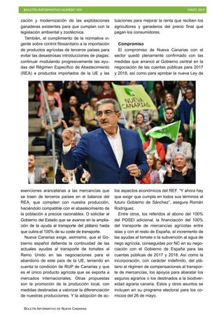 BOLETÍN INFORMATIVO NÚMERO XIX MAYO 2019
BOLETÍN INFORMATIVO DE NUEVA CANARIAS
zación y modernización de las explotaciones
ganaderas existentes para que cumplan con la
legislación ambiental y zootécnica.
También, el cumplimiento de la normativa vi-
gente sobre control fitosanitario a la importación
de productos agrícolas de terceros países para
evitar las desastrosas introducciones de plagas;
continuar modulando progresivamente las ayu-
das del Régimen Específico de Abastecimiento
(REA) a productos importados de la UE y las
exenciones arancelarias a las mercancías que
se traen de terceros países en el balance del
REA, que compiten con nuestra producción,
haciéndolo compatible con el abastecimiento de
la población a precios razonables. O solicitar al
Gobierno del Estado que se avance en la amplia-
ción de la ayuda al transporte del plátano hasta
que cubra el 100% de su coste de transporte.
Nueva Canarias exige, asimismo, que el Go-
bierno español defienda la continuidad de las
actuales ayudas al transporte de tomates al
Reino Unido en las negociaciones para el
abandono de este país de la UE, teniendo en
cuenta la condición de RUP de Canarias y que
es el único producto agrícola que se exporta a
mercados internacionales. Otras propuestas
son la promoción de la producción local, con
medidas destinadas a valorizar la diferenciación
de nuestras producciones. Y la adopción de ac-
tuaciones para mejorar la renta que reciben los
agricultores y ganaderos del precio final que
pagan los consumidores.
Compromiso
El compromiso de Nueva Canarias con el
sector quedó plenamente confirmado con las
medidas que arrancó al Gobierno central en la
negociación de las cuentas públicas para 2017
y 2018, así como para aprobar la nueva Ley de
los aspectos económicos del REF. “Y ahora hay
que exigir que cumpla en todos sus términos el
futuro Gobierno de Sánchez”, asegura Román
Rodríguez.
Entre otros, los referidos al abono del 100%
del POSEI adicional, la financiación del 100%
del transporte de mercancías agrícolas entre
islas y con el resto de España, el incremento de
las ayudas al tomate o la subvención al agua de
riego agrícola, conseguidas por NC en su nego-
ciación con el Gobierno de España para las
cuentas públicas de 2017 y 2018. Así como la
incorporación, con carácter indefinido, del plá-
tano al régimen de compensaciones al transpor-
te de mercancías, los apoyos para abaratar los
seguros agrarios o los destinados a la biodiver-
sidad agraria canaria. Estos y otros asuntos se
incluyen en su programa electoral para los co-
micios del 26 de mayo.
 