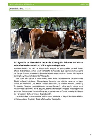 BOLETÍN INFORMATIVO NÚMERO X	

 MARZO 2016
	

47
La Agencia de Desarrollo Local de Valsequillo informa del curso
sobre bienestar animal en el transporte de ganado
Hasta el próximo día diez de marzo están abiertas las inscripciones para el “Curso
Oficial de Bienestar Animal en el Transporte de Ganado” que organiza la Consejería
del Sector Primario y Soberanía Alimentaria del Cabildo de Gran Canaria y la Agencia
de Empleo y Desarrollo Local de Valsequillo.
Este curso será del 14 al 18 de marzo en el Teatro Cronista Oficial Jacinto Suárez
Martel en horario de tarde. Una actividad formativa que estará a cargo de los licen-
ciados en Veterinaria Dña. María Trinidad Hernández, D. Gilberto Rodolfo Cabrera y
D. Joaquin Fábregas cuyo objetivo es dar una formación oficial según consta en el
Real Decreto 751/2006, de 16 de junio, sobre autorización y registro de transportistas
y medios de transporte de animales y por el que se crea el Comité español de bienes-
tar y protección de los animales de producción.
Los interesados pueden rellenar su solicitud a través de la página web del Cabildo o
en la Agencia de Empleo y Desarrollo Local de Valsequillo.
NOTICIAS DEL N o r t e
 