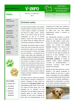 octubre-diciembre 10
                                V-Info
                                Boletín trimestral
Índice
                                       Nº4

Cosas de            1
Perros: geriatría
                        Geriatría canina
Mi amigo el gato:   2
alimentación            Los años no pasan en balde, y para nuestras                 mecanismos del corazón para mantener el

                        mascotas tampoco; los perros a partir de los                funcionamiento correcto. Estas enfermedades
La peluquería:      2   7 años ( según su tamaño) se considera                      no   suelen      tener       cura,       pero    tratadas
algo más que                                                                        tempranamente          ayudan        a    mantener     su
                        que entran en su etapa “ sénior ” . Muchas
cortar el pelo
                        veces no nos damos cuenta de que van                        calidad de vida.
Un exótico en       3
                        envejeciendo,      ya        que    es   un     proceso     Las enfermedades asociadas al aparato
casa: la cobaya
                        paulatino, aunque hay muchos signos que                     reproductor en ambos sexos también son
Tu clínica:         3   nos orientan sobre los cuidados extras que                  propias de estas edades y tienen mayor
revisiones              necesitan para mantener su calidad de vida.                 incidencia en mascotas no castradas. En las
geriátricas
                        Por ejemplo, que durante el paseo no vaya al                hembras       son      comunes            los    tumores
De pura raza:       4
                        mismo ritmo, que se canse antes, que ya no                  mamarios. Aparecen como nódulos en las
Perro de aguas
español                 se levante de un salto si no en dos tiempos,                mamas        y      deben       ser         extirpados

                        que no se suba bien al coche o ese quejido                  prematuramente para evitar metástasis. En
Nuestras            4
mascotas                que da al tumbarse,… es indicativo de que                   los machos hay que vigilar las pérdidas de

                        nuestro amigo puede estar padeciendo ya                     sangre por el pene, asociadas o no a

                        artrosis, un proceso de desgaste del cartílago              estreñimiento,        pues    son        indicativas   de

                        que recubre los huesos de las articulaciones,               enfermedades prostáticas; en machos no

                        cuya función es impedir la fricción de los                  castrados     pueden         padecer        hiperplasias

                        mismos. Al no evitar que los huesos rocen al                ( a umento       de     tamaño/inflamación )           o

                        moverse, estos se deforman y cada vez rozan                 carcinomas       ( tumores ) ,           estos    últimos

                        más. Es una enfermedad degenerativa que                     también en los castrados.

                        les   produce   dolor         y    limitación    de   los   Además de todos estos signos por su menor
                        movimientos; no tiene cura, pero sí podemos                 actividad y sus órganos envejecidos, el
                        retrasar su evolución, mejorando su movilidad               tránsito intestinal es más lento y pueden
                        y evitándole el dolor.                                      tender a la obesidad; por lo tanto la dieta es

                        Otro signo a tener en cuenta es la aparición                muy importante. Debe ser alta en fibras y baja

                        de tos nocturna, cansancio e intolerancia al                en grasa, con las proteínas equilibradas y
 De su interés:         ejercicio. Cualquiera de ellos pueden ser                   suplementada con antioxidantes. La mayoría

  octubre: test.       síntomas de una enfermedad cardiaca. Estas                  de las dietas comerciales etiquetadas como

                        enfermedades pueden existir sin que cursen                  Sénior tienen todas estas características.
  noviembre:
                        con ninguno de estos signos, pero sí ser
   peluquería.
                        detectada    por        el    veterinario       en    una
  diciembre:           exploración. Si no se detectan antes de que
   revisiones           aparezca alguno de estos síntomas, el
   geriátricas.         pronóstico es peor, pues la existencia de
                        éstos indica una descompensación en los
 