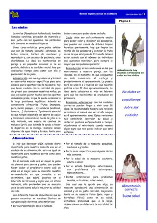 Somos especialistas en exóticos         enero-marzo 11

                                                                                                  Página 3

Las ninfas
  La ninfas (Nymphicus hollandicus), también     beber como para poder darse un baño.
llamadas carolinas, proceden de Australia y        Jaula: debe ser suficientemente amplia
son, junto con los agapornis, las psitácidas     para poder volar y disponer de posaderos,
más comunes en nuestros hogares.                 que pueden ser ramas de árboles limpias
  Como características principales señalar       hervidas previamente; hay que limpiar los
que son de tamaño pequeño, cariñosas, de         restos de los posaderos y eliminar la fruta
bellos colores, fáciles de mantener y            antes de que esté pasada. El tamaño deberá
reproducir y, con un poco de paciencia, unas     estar acorde con el número de individuos
charlatanas. Lo ideal es mantenerlas en          que queramos mantener, pero siempre lo
pareja o en pequeñas colonias; si no es          mayor que nos podamos permitir.
posible, debido a su carácter social, hay que      Reproducción: si las condiciones en las que
dedicarles tiempo para estar con ella y                                                          Actualmente hay
                                                 mantenemos a nuestra pareja son las
                                                                                                 muchas variedades de
pueda salir de su jaula.                         idóneas, en el momento en que coloquemos        color en las ninfas
  Alimentación: son aves granívoras y lo ideal   un nido comenzará el cortejo y
es aportarles mezclas específicas para esta      posteriormente el apareamiento. La puesta
especie que le aportan todo lo necesario; hay    será de unos 5 a 7 huevos del que nacerán
que tener cuidado con la cantidad de pipas       pollitos a los 21 días aproximadamente. Lo
de girasol que consumen nuestras ninfas, ya      ideal sería colocarles el nido en febrero          No dudes en
que les suelen gustar mucho pero les aportan     para que los nacimientos se produzcan en
demasiada grasa, lo que le puede ocasionar a     primavera.
la larga problemas hepáticos. Además es
                                                                                                    consultarnos
                                                   Revisiones veterinarias: con los cuidados
conveniente ofrecerles frutas (manzana,          correctos pueden llegar a vivir unos 18
pera, melón, papaya, …) y verduras (endibias,    años; es recomendable hacerle una revisión
                                                                                                      sobre sus
tomate, …) diariamente. Igualmente esencial      veterinaria al menos una vez al año aunque
es que tengan disponible un aporte de calcio     esté aparentemente sana. Estas revisiones            cuidados
y minerales, colocando un hueso de jibia o, lo   nos permitirán controlar su salud y
más indicado, una mezcla de conchas de           detectar posibles enfermedades a tiempo.
molusco (grit), que además le ayuda a hacer      Acudiremos al veterinario cuando veamos
la digestión en la molleja. Siempre deben        algún signo que nos pueda indicar que está
disponer de agua limpia y fresca, tanto para     enferma.

 Alimentación
  Si hay que destacar algún cuidado diario        Por el tamaño de la mascota: pequeñas,
importante para nuestra mascota ese es el          medianas o grandes.
cuidado de su alimentación; esto es igual de      Por la raza: específico para algunas de las
importante para nuestros perros como para          más comunes.
nuestros gatos.
                                                  Por la edad de la mascota: cachorro,
  En el mercado cada vez es mayor la gama          adulto o sénior
de piensos para perros y gatos, que pueden
                                                  Por el estado fisiológico: esterilizados,
hacer dudar al propietario sobre cuál de
                                                   con   pr oble m as   de    sobr ep eso,
ellos es el mejor para su mascota; nuestra
                                                   mantenimiento,…
recomendación es que consulte a su
veterinario, que sabrá guiarles en el             Dietas veterinarias: para problemas
laberinto de términos y siglas que, en última      renales, articulares, intestinales, …
instancia, sólo pretenden que su mascota           Sea cual sea la opción que elija, su
goce de una buena salud o mejorar su calidad     mascota agradecerá una alimentación de
                                                                                                    Alimentación
de vida.                                         calidad y en su justa cantidad, mejorando
                                                                                                      correcta
                                                 tanto en su aspecto físico (pelo, vigor y
                                                                                                          =
  Los diferente tipos de alimentación que se                                                        Buena salud
pueden encontrar en nuestros Centros se          fortaleza física) como en su salud,
agrupan según distintas características:         evitándole problemas que, a la larga,
                                                 desencadenan un deterioro de su calidad de
 por su presentación: seco o húmedo.
                                                 vida.
 