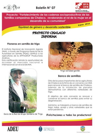 Boletín N° 07

    Proyecto: “Fortalecimiento de las cadenas socioproductivas de las
  familias campesinas de Chalaco, revalorando el rol de la mujer en el
                       desarrollo de su comunidad”
                                                                                          2012
                                                                                    Enero
                 Equidad de género y desarrollo sostenible

                                 PROYECTO CHALACO
                                     INFORMA

     Pioneros en semilla de trigo

El Instituto Nacional de Innovación Agraria
(INIA), a través del Programa Especial de la
Autoridad en Semilla (PEAS) certificó a los
agricultores de la APPAGROP 'Productores
Andinos.
Esta certificación brinda la oportunidad de
acceder al mercado nacional e
internacional con el aval de INIA.


                                                              Trigo variedad gavilán.

                                                            Banco de semillas
                                                 Otro de los pasos importantes de los agricultores
                                                 de Chalaco es la firma de un convenio con INIA
                                                 para renovar el banco de semillas de Chalaco,
                                                 además de la instalación de parcelas
                                                 demostrativas con diferentes variedades de
                                                 trigo.

                                                 El objetivo de este convenio es renovar y
                                                 conservar el banco de semillas para evitar su
                                                 degeneración.

                                                 Asimismo, se trabajará un banco de semillas de
                                                 frejol, haba, arveja y otras variedades que se
                                                 están perdiendo.

 Socio de la Red de Grupo Solidario de Trigo.
                                                ¡Felicitaciones a todos los productores!




                                                                                 Municipalidad Distrital de Chalaco
 