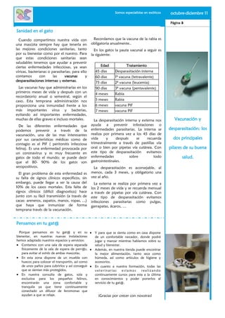 Somos especialistas en exóticos   octubre-diciembre 11

                                                                                                  Página 3

Sanidad en el gato
  Cuando compartimos nuestra vida con              Recordamos que la vacuna de la rabia es
una mascota siempre hay que tenerla en            obligatoria anualmente..
las mejores condiciones sanitarias, tanto           En los gatos la pauta vacunal a seguir es
por su bienestar como por el nuestro. Para        la siguiente:
que estas condiciones sanitarias sean
saludables tenemos que ayudar a prevenir
ciertas enfermedades infecciosas, ya sean              Edad           Tratamiento
víricas, bacterianas o parasitarias; para ello      45 días     Desparasitación interna
contamos        con     las    vacunas       y      60 días     1ª vacuna (tetravalente)
desparasitaciones internas y externas.              75 días     2ª vacuna (leucemia)
  Las vacunas hay que administrarlas en los         90 días     3ª vacuna (pentavalente)
primeros meses de vida y después con un
                                                    4 meses     Rabia
recordatorio anual o semestral, según el
caso. Esta temprana administración nos              5 meses     Rabia
proporciona una inmunidad frente a los              6 meses     vacuna PIF
más importantes virus y bacterias,                  7 meses     vacuna PIF
evitando así importantes enfermedades,
muchas de ellas graves e incluso mortales.          La desparasitación interna y externa nos         Vacunación y
  De las diferentes enfermedades que              ayuda a prevenir infestaciones o
podemos prevenir a través de la                   enfermedades parasitarias. La interna se        desparasitación: los
vacunación, una de las mas interesantes           realiza por primera vez a los 45 días de
por sus características médicas como de           vida     y      después     se    recuerda        dos principales
contagio es el PIF ( peritonitis infecciosa       trimestralmente a través de pastillas vía
felina). Es una enfermedad provocada por          oral o bien por pipetas vía cutánea. Con        pilares de su buena
un coronavirus y es muy frecuente en              este tipo de desparasitación evitamos
gatos de todo el mundo; se puede decir            enfermedades            sobre         todo             salud.
que el 80- 90% de los gatos son                   gastrointestinales.
seropositivos.                                     La desparasitación es aconsejable, al
  El gran problema de esta enfermedad es          menos, cada 3 meses, y obligatorio una
su falta de signos clínicos específicos, sin      vez al año.
embargo, puede llegar a ser la causa del            La externa se realiza por primera vez a
10% de los casos mortales. Esta falta de          los 2 meses de vida y se recuerda mensual
signos clínicos (difícil diagnostico) hace        a través de pipetas por vía cutánea. Con
junto con su fácil transmisión (a través de       este tipo de desparasitación evitamos
cacas: areneros, zapatos, manos, ropas, ...)      infecciones parasitarias como pulgas,
que haya que inmunizar de forma                   garrapatas, ácaros, …
temprana través de la vacunación.


Pensamos en tu gat@
  Porque pensamos en tu gat@ y en su                Y para que se sienta como en casa dispone
bienestar, en nuestras nuevas instalaciones         de un confortable rascador, donde podrá
hemos adaptado nuestros espacios y servicios:       jugar y marcar mientras hablamos sobre su
   Contamos con una sala de espera separada         salud y bienestar.
   físicamente de la sala de espera de perr@s,      Además, en nuestra tienda puede encontrar
   para evitar el estrés de ambas mascotas.         la mejor alimentación, tanto seca como
   En esta zona dispone de un mueble con            húmeda, así como artículos de higiene y
   huecos para colocar el transportín, así como     accesorios.
   de unos paños para cubrirlos y así conseguir     En cuanto a nuestra formación, todas las
   que se sientan más protegidos.                   veterinarias       estamos   realizando
   En nuestra consulta de gatos, sola y             continuamente cursos para esta a la última
   exclusiva para los pequeños felinos,             en conocimientos y poder ponerlos al
   encontrarán una zona confortable y               servicio de tu gat@.
   tranquila ya que tiene continuamente
   conectado un difusor de feromonas que
   ayudan a que se relaje.                            ¡Gracias por crecer con nosotras!
 