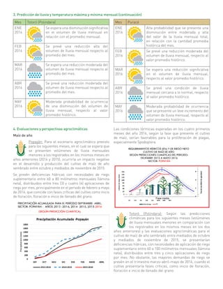 4. Evaluaciones y perspectivas agroclimáticas
Maíz de año
Popayán: Para el escenario agroclimático previsto
para los siguientes meses, en el cual se espera que
se presenten volúmenes de lluvia mensuales
menores a los registrados en los mismos meses en
años anteriores (2014 y 2015), ocurriría un impacto negativo
en el desarrollo y producción del cultivo de maíz de año
sembrado entre octubre y mediados de noviembre de 2015.
Se prevén deficiencias hídricas con necesidades de riego
suplementario entre 60 a 80 milímetros mensuales (lámina
neta), distribuidos entre tres (3) y cuatro (4) aplicaciones de
riego por mes, principalmente en el periodo de febrero a mayo
de 2016, que coincide con fases críticas del cultivo como inicio
de floración, floración e inicio de llenado del grano.
Mes Totoró (Polindara)
ENE
2016
Se espera una disminución significativa
en el volumen de lluvia mensual en
relación con el promedio mensual.
FEB
2016
Se prevé una reducción alta del
volumen de lluvia mensual respecto al
promedio del mes.
MAR
2016
Se espera una reducción moderada del
volumen de lluvia mensual respecto al
promedio del mes.
ABR
2016
Se prevé una reducción moderada del
volumen de lluvia mensual respecto al
promedio del mes.
MAY
2016
Moderada probabilidad de ocurrencia
de una disminución del volumen de
lluvia mensual, respecto al valor
promedio histórico.
Mes Puracé
ENE
2016
Alta probabilidad que se presente una
disminución entre moderada y alta
del valor de la lluvia mensual total,
en relación con la cantidad promedia
histórica del mes.
FEB
2016
Se prevé una reducción moderada del
volumen de lluvia mensual, respecto al
valor promedio histórico.
MAR
2016
Se espera una reducción significativa
en el volumen de lluvia mensual,
respecto al valor promedio histórico.
ABR
2016
Se prevé una condición de lluvia
mensual cercana a lo normal, respecto
al valor promedio histórico.
MAY
2016
Moderada probabilidad de ocurrencia
que se presente un leve incremento del
volumen de lluvia mensual, respecto al
valor promedio histórico.
3. Predicción de lluvia y temperatura máxima y mínima mensual (continuación)
Las condiciones térmicas esperadas en los cuatro primeros
meses del año 2016, según la fase que presente el cultivo
de maíz, serían favorables para la proliferación de plagas,
especialmente Spodoptera.
Totoró (Políndara): Según las predicciones
climáticas para los siguientes meses (volúmenes
de lluvia mensuales menores en comparación con
los registrados en los mismos meses en los dos
años anteriores) y las evaluaciones agroclimáticas para el
cultivo de maíz de año sembrado entre mediados de octubre
y mediados de noviembre de 2015, se presentarían
deficiencias hídricas, con necesidades de aplicación de riego
suplementario entre 60 a 100 milímetros mensuales (lámina
neta), distribuidos entre tres y cinco aplicaciones de riego
por mes. No obstante, las mayores demandas de riego se
prevén en el trimestre marzo-abril-mayo de 2016, cuando el
cultivo presentaría fases críticas, como inicio de floración,
floración e inicio de llenado del grano.
 