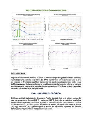 BOLETÍN AGROMETEOROLÓGICO EN CAPSICUM
SINTESIS MENSUAL:
Enjunio, las temperaturasmáximas enOlmosse mantuvieron por debajo de sus valores normales,
reportándose una anomalía para el mes de -2,7°C, registrándose valores diarios de hasta 21,5°C;
sin embargo en Jayanca se reportó un régimen normal. Las temperaturas mínimas en las zonas
de Olmos y Jayanca fluctuaron entorno a su variabilidad normal. La humedad relativa se mantuvo
significativamente superior a su normal en Olmos promediando 83%, siendo su valor habitual en
Jayanca (78%). Ausencia de precipitaciones.
EVALUACIÓN FENOLÓGICA
En Olmos, se inició los trasplantes de pimiento Piquillo (Agrícola Virú) en la primera semana del
mes, contemperaturas diurnas (24,3°C)y nocturnas (19,9°C) dentro del rango óptimo para la fase
de crecimiento vegetativo; habiéndose registrado la presencia de grillos que conllevaron a realizar
labores de resiembro y de control químico. En la zona de Jayanca, las condiciones térmicas diurnas
(24,6°C) y nocturnas (19,4°C) contribuyeron al avance del crecimiento vegetativo del pimiento
Morrón; se reportó presencia de Prodiplosis en bajos niveles.
 