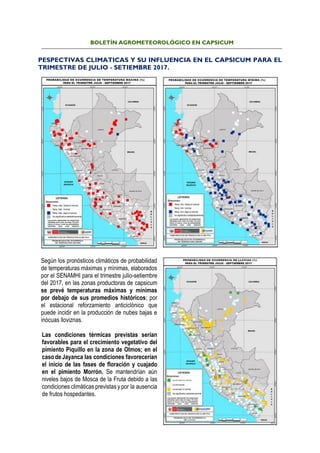 BOLETÍN AGROMETEOROLÓGICO EN CAPSICUM
PESPECTIVAS CLIMATICAS Y SU INFLUENCIA EN EL CAPSICUM PARA EL
TRIMESTRE DE JULIO - SETIEMBRE 2017.
Según los pronósticos climáticos de probabilidad
de temperaturas máximas y mínimas, elaborados
por el SENAMHI para el trimestre julio-setiembre
del 2017, en las zonas productoras de capsicum
se prevé temperaturas máximas y mínimas
por debajo de sus promedios históricos; por
el estacional reforzamiento anticiclónico que
puede incidir en la producción de nubes bajas e
inócuas lloviznas.
Las condiciones térmicas previstas serían
favorables para el crecimiento vegetativo del
pimiento Piquillo en la zona de Olmos; en el
casode Jayanca las condiciones favorecerían
el inicio de las fases de floración y cuajado
en el pimiento Morrón. Se mantendrían aún
niveles bajos de Mosca de la Fruta debido a las
condiciones climáticas previstas y por la ausencia
de frutos hospedantes.
 