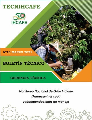 Monitoreo Nacional de Grillo Indiano
(Paroecanthus spp.)
y recomendaciones de manejo
GERENCIA TÉCNICA
Nº13 MARZO 2021
TECNIHCAFE
BOLETÍN TÉCNICO
 