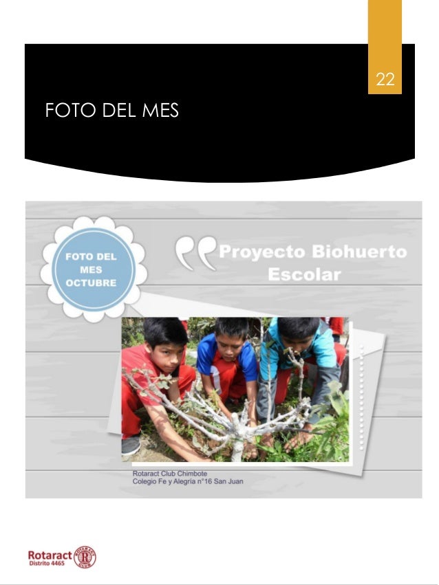 aniversario de bodas de ebano