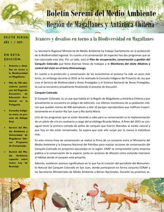 Avances y desafíos en torno a la Biodiversidad en MagallanesB O L E T Í N M E N S U A L
A Ñ O 1 / N O V .
EN ESTA
EDICIÓN:
 Avances y desa-
fíos en torno a
la Biodiversidad
en Magallanes
 Más de 100 edu-
cadores partici-
pan del Segundo
Encuentro de
Educación Am-
biental en la
Patagonia
 Consulta Indíge-
na entra en pro-
ceso de diálogo
final.
 Seremi del Me-
dio Ambiente y
Universidad de
Magallanes lide-
ran Programa
de Compostaje.
 Seremi del Me-
dio Ambiente
capacitó sobre
nueva Ley de
Reciclaje
La Secretaría Regional Ministerial de Medio Ambiente ha trabajo fuertemente en la protección
de la Biodiversidad regional. En cuanto a la conservación de especies hay dos programas que se
han ejecutado este año. Por un lado, está el Plan de recuperación, conservación y gestión del
Canquén Colorado que tiene diversas líneas de trabajos y el Monitoreo del islote Albatros y
control del visón en el Seno Almirantazgo.
En cuanto a la protección y conservación de los ecosistemas el proceso ha sido un poco más
lento, sin embargo durante el 2016 se ha realizado la Consulta Indígena del Proyecto de Ley que
crea el Servicio de Biodiversidad y Áreas Protegidas y el Sistema Nacional de Áreas Protegidas,
la cual se encuentra actualmente finalizando el proceso de discusión.
Canquén Colorado
El Canquén Colorado, es un ave que habita en la Región de Magallanes y Antártica Chilena y que
actualmente se encuentra en peligro de extinción. Los últimos monitoreos de su población indi-
can que quedan menos de 400 ejemplares y sólo 10 parejas reproductivas que nidifican mayori-
tariamente en el sector Río San Juan y Río Santa María.
Uno de los programas que se están llevando a cabo para su conservación es la implementación
de un piloto de cría en cautiverio a cargo del ornitólogo Ricardo Matus. A fines del 2015 se con-
siguió tener la primera camada de pollos de canquén que fueron liberados al medio natural y
que hoy en día están reinsertados. Se espera que este año surjan por lo menos 6 individuos
más.
En esta misma línea de conservación se realizó la firma de un convenio entre el Ministerio del
Medio Ambiente y la Empresa Nacional del Petróleo para realizar acciones de conservación del
Canquén Colorado en proyectos ejecutados en la región. ENAP se comprometió como empresa
pública a la conservación de la especie, tanto en acciones de difusión como evitando intervenir
el hábitat donde el canquén esté presente.
Además, existieron avances significativos en lo que fue la creación del portafolio del Monumen-
to Natural del Canquén Colorado en San Juan, donde participaron en forma conjunta CONAF y
las Secretarías Ministeriales de Medio Ambiente y Bienes Nacionales. Durante las próximas se-
Boletín Seremi del Medio Ambiente
Región de Magallanes y Antártica Chilena
 