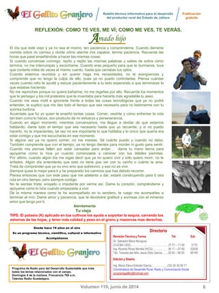 Boletín técnico informativo para el desarrollo
del productor rural del Estado de Jalisco
Publicación
gratuita
6
Programa de Radio para del Desarrollo Sustentable que trata
todos los temas relacionados con el campo.
Domingos 9 de la mañana. Frecuencia 760 a.m.
Televisa Radio Guadalajara.
Directorio
Revisión Técnica y Forma Tel. Ext.
Dr. Salvador Mena Munguía
(CUCBA UDG)………………………………….. 37 77 – 11 55 3175
Ing. Ricardo Rivas Montiel (HCG)……..……… 36 17 – 07 60 52630
Téc. Teresita del Niño Jesús Ortiz García…….30 30 – 06 00 56195
Edición y Diseño
Ing. María Elena Estrada García………………(33) 30 30 06 71
Coordinadora de Desarrollo Rural, Radio y Comunicación Social
programagallito@hotmail.com
Volumen 119, junio de 2014
mado hijoAA
REFLEXIÓN: COMO TE VES, ME VÍ; COMO ME VES, TE VERÁS.
El día que esté viejo y ya no sea el mismo, ten paciencia y compréndeme. Cuando derrame
comida sobre mi camisa y olvide cómo atarme mis zapatos, tenme paciencia. Recuerda las
horas que pasé enseñándote a hacer las mismas cosas.
Si cuando conversas conmigo, repito y repito las mismas palabras y sabes de sobra cómo
termina, no me interrumpas y escúchame. Cuando eras pequeño para que te durmieras, tuve
que contarte miles de veces el mismo cuento, hasta que cerrabas tus ojitos.
Cuando estemos reunidos y sin querer haga mis necesidades, no te avergüences y
comprende que no tengo la culpa de ello, pues ya no puedo controlarlas. Piensa cuántas
veces cuando niño te ayudé y estuve pacientemente a tu lado esperando a que terminaras lo
que estabas haciendo.
No me reproches porque no quiera bañarme; no me regañes por ello. Recuerda los momentos
que te perseguí y los mil pretextos que te inventaba para hacerte más agradable tu aseo.
Cuando me veas inútil e ignorante frente a todas las cosas tecnológicas que ya no podré
entender, te suplico que me des todo el tiempo que sea necesario para no lastimarme con tu
sonrisa burlona.
Acuérdate que fui yo quien te enseñó tantas cosas. Comer, vestirte y cómo enfrentar la vida
tan bien como lo haces, son producto de mi esfuerzo y perseverancia.
Cuando en algún momento, mientras conversamos, me llegue a olvidar de qué estamos
hablando, dame todo el tiempo que sea necesario hasta que yo recuerde, y si no puedo
hacerlo, no te impacientes; tal vez no era importante lo que hablaba y lo único que quería era
estar contigo y que me escucharas en ese momento.
Si alguna vez ya no quiero comer, no me insistas. Sé cuánto puedo y cuando no debo.
También comprende que con el tiempo, ya no tengo dientes para morder ni gusto para sentir.
Cuando mis piernas fallen por estar cansadas para andar… dame tu mano tierna para
apoyarme como lo hice yo cuando comenzaste a caminar con tus débiles piernitas.
Por último, cuando algún día me oigas decir que ya no quiero vivir y sólo quiero morir, no te
enfades. Algún día entenderás que esto no tiene que ver con tu cariño o cuánto te ame.
Trata de comprender que ya no vivo sino que sobrevivo, y eso no es vivir.
Siempre quise lo mejor para ti y he preparado los caminos que has debido recorrer.
Piensa entonces que con este paso que me adelanto a dar, estaré construyendo para ti otra
ruta en otro tiempo, pero siempre contigo.
No te sientas triste, enojado o impotente por verme así. Dame tu corazón, compréndeme y
apóyame como lo hice cuando empezaste a vivir.
De la misma manera como te he acompañado en tu sendero, te ruego me acompañes a
terminar el mío. Dame amor y paciencia, que te devolveré gratitud y sonrisas con el inmenso
amor que tengo por ti.
Atentamente
TuTu viejoviejo
TIPS:TIPS: El potasio (K) aplicado en tus cultivos los ayuda a soportar la sequía, cerrando los
estomas de las hojas, y tener más calidad y peso en el grano y mazorcas mas derechas.
Desde hace 19 años en el aire
Es un programa técnico, científico, cultural e informativo
Acompáñanos
 