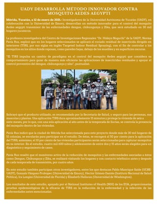 UADY DESARROLLA MÉTODO INNOVADOR CONTRA
MOSQUITO AEDES AEGYPTI
Mérida, Yucatán, a 12 de enero de 2021.- Investigadores de la Universidad Autónoma de Yucatán (UADY), en
colaboración con la Universidad de Emory, desarrollan un método innovador para el control del mosquito
Aedes aegypti transmisor de las enfermedades dengue, chikungunya y Zika, que será estudiado en 30 mil
hogares yucatecos.
La profesora investigadora del Centro de Investigaciones Regionales “Dr. Hideyo Noguchi” de la UADY, Norma
Pavía Ruz, explicó que en los hogares seleccionados se aplicará el rociado residual de insecticida dirigido en
interiores (TIRS, por sus siglas en inglés Targeted Indoor Residual Spraying), con el fin de controlar a los
mosquitos en los sitios donde reposan, como paredes bajas, debajo de los muebles y en superficies oscuras.
“El TIRS impulsa un cambio de paradigma en el control del mosquito Aedes aegypti que considera su
comportamiento para guiar de manera más eficiente las aplicaciones de insecticidas residuales y apoyar el
control preventivo del dengue, chikungunya y zika”, puntualizó.
Subrayó que el producto utilizado, es recomendado por la Secretaría de Salud, y seguro para las personas, sus
mascotas y plantas. Una aplicación TIRS dura aproximadamente 15 minutos y protege la vivienda de seis a
siete meses, por lo que, con una sola aplicación al año antes de la temporada de lluvias, se controla la presencia
del mosquito dentro de las viviendas.
Pavía Ruz indicó que la ciudad de Mérida fue seleccionada para este proyecto donde más de 30 mil hogares de
51 colonias, se enrolarán para participar en el estudio. De éstas, se escogerá al 50 por ciento para la aplicación
del TIRS, asimismo, el 10 por ciento de las viviendas participantes serán seleccionadas para capturar mosquitos
en su interior. En el estudio, cuatro mil 600 niños y adolescentes de entre dos y 15 años serán elegidos para un
diagnóstico y seguimiento de casos.
Pavía Ruz resaltó que el monitoreo activo de la reducción de mosquitos y las enfermedades asociadas a éstos
como Dengue, Chikunguya y Zika, se realizará visitando los hogares y con contacto telefónico antes y después
de cada temporada de transmisión, por cuatro años.
En este estudio también participan otros investigadores, entre los que destacan Pablo Manrique Saide (UCBE-
UADY), Gonzalo Vázquez-Prokopec (Universidad de Emory), Hector Gómez-Dantés (Instituto Nacional de Salud
Pública), Ira Longini (Universidad de Florida) y Elizabeth Halloran (Universidad de Washington).
Los resultados de este estudio, apoyado por el National Institutes of Health (NIH) de los EUA, proporcionarán
pruebas epidemiológicas de la eficacia de TIRS en la reducción de la enfermedad y la infección de las
enfermedades antes mencionadas.
 