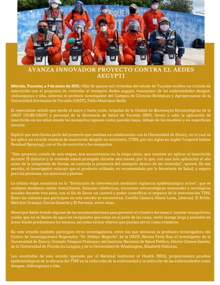 AVANZA INNOVADOR PROYECTO CONTRA EL AEDES
AEGYPTI
Mérida, Yucatán, a 9 de junio de 2021.- Más de quince mil viviendas del estado de Yucatán reciben un rociado de
insecticida con el propósito de controlar al mosquito Aedes aegypti, transmisor de las enfermedades dengue,
chikungunya y zika, informó el profesor investigador del Campus de Ciencias Biológicas y Agropecuarias de la
Universidad Autónoma de Yucatán (UADY), Pablo Manrique Saide.
El especialista señaló que desde el mayo y hasta junio, brigadas de la Unidad de Bioensayos Entomológicas de la
UADY (UCBE-UADY) y personal de la Secretaría de Salud de Yucatán (SSY), llevan a cabo la aplicación de
insecticida en los sitios donde los mosquitos reposan como paredes bajas, debajo de los muebles y en superficies
oscuras.
Explicó que esto forma parte del proyecto que realizan en colaboración con la Universidad de Emory, en el cual se
les aplica un rociado residual de insecticida dirigido en interiores, (TIRS, por sus siglas en inglés Targeted Indoor
Residual Spraying), con el fin de controlar a los mosquitos.
“Este proyecto consta de seis etapas, nos encontramos en la etapa cinco, que consiste en aplicar el insecticida
durante 15 minutos y la vivienda estará protegida durante seis meses, por lo que, con una sola aplicación al año
antes de la temporada de lluvias, se controla la presencia del mosquito dentro de las viviendas”, apuntó. En ese
sentido, el investigador subrayó que el producto utilizado, es recomendado por la Secretaría de Salud, y seguro
para las personas, sus mascotas y plantas.
La última etapa consistirá en la “Evaluación de intervención mediante vigilancia epidemiológica activa”, que se
realizará mediante visitas domiciliares, llamadas telefónicas, encuestas entomológicas mensuales y serológicas
anuales durante tres años, con el fin de llevar un control y poder cuantificar el impacto de la intervención TIRS.
Entre las colonias que participan en este estudio se encuentran, Castilla Cámara, María Luisa, Libertad, El Roble,
Melchor Ocampo, García Ginerés y El Porvenir, entre otras.
Manrique Saide brindó algunas de las recomendaciones para prevenir el criadero del mosco: instalar mosquiteros,
cuidar que no se llenen de agua los recipientes que están en el patio de las casas, vestir manga larga y pantalón en
áreas donde predominen los moscos, así como retirar objetos que puedan servir como criaderos.
En este estudio también participan otros investigadores, entre los que destacan la profesora investigadora del
Centro de Investigaciones Regionales “Dr. Hideyo Noguchi” de la UADY, Norma Pavía Ruz; el investigador de la
Universidad de Emory, Gonzalo Vázquez-Prokopec; del Instituto Nacional de Salud Pública, Héctor Gómez-Dantés;
de la Universidad de Florida Ira Longini; y de la Universidad de Washington, Elizabeth Halloran.
Los resultados de este estudio apoyado por el National Institutes of Health (NIH), proporcionará pruebas
epidemiológicas de la eficacia del TIRS en la reducción de la enfermedad y la infección de las enfermedades como
dengue, chikungunya y zika.
 