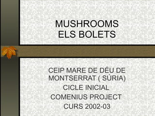 MUSHROOMS ELS BOLETS CEIP MARE DE DÉU DE MONTSERRAT ( SÚRIA) CICLE INICIAL  COMENIUS PROJECT  CURS 2002-03 