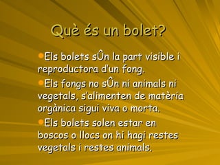 Què és un bolet? Els bolets són la part visible i reproductora d’un fong.  Els fongs   no són ni animals ni vegetals, s’alimenten de matèria orgànica sigui viva o morta.  Els bolets solen estar en boscos o llocs on hi hagi restes vegetals i restes animals. 