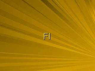 FI 