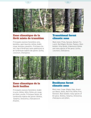 Bolets Quebec Et Est Du Canada