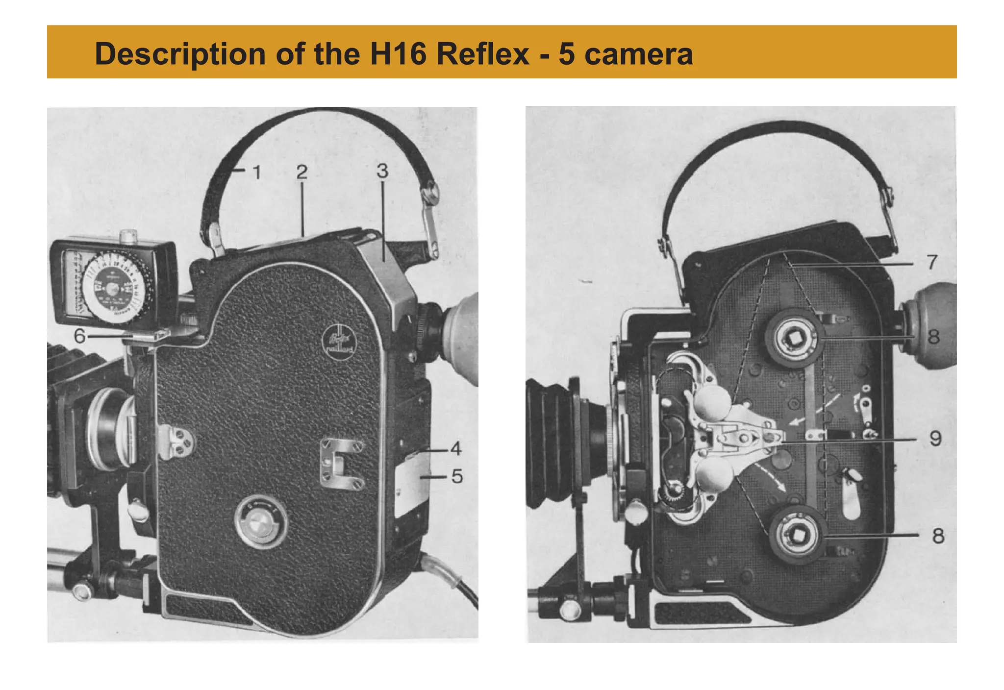 Description of the H16 Reflex - 5 camera
 