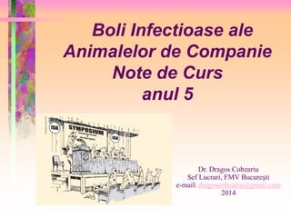Boli Infectioase ale
Animalelor de Companie
Note de Curs
anul 5
Dr. Dragos Cobzariu
Sef Lucrari, FMV Bucureşti
e-mail: dragoscobzariu@gmail.com
2014
 