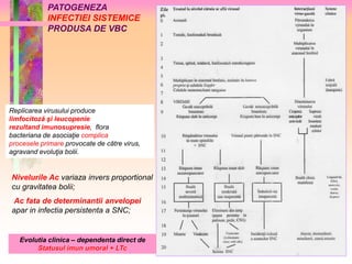 PATOGENEZA 
INFECTIEI SISTEMICE 
PRODUSA DE VBC 
Replicarea virusului produce 
limfocitoză şi leucopenie 
rezultand imunosupresie, flora 
bacteriana de asociaţie complica 
procesele primare provocate de către virus, 
agravand evoluţia bolii. 
Nivelurile Ac variaza invers proportional 
cu gravitatea bolii; 
Ac fata de determinantii anvelopei 
apar in infectia persistenta a SNC; 
Evolutia clinica – dependenta direct de 
Statusul imun umoral + LTc 
 