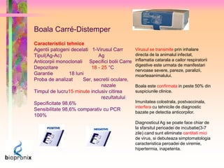 Boala Carré-Distemper 
Caracteristici tehnice 
Agentii patogeni decelati 1-Virusul Carr 
Tipul(Ag-Ac) Ag 
Anticorpii monoclonali Specifici bolii Carre 
Depozitare 18 - 25 °C 
Garantie 18 luni 
Proba de analizat Ser, secretii oculare, 
nazale 
Timpul de lucru15 minute inclusiv citirea 
rezultatului 
Specificitate 98,6% 
Sensibilitate 98,6% comparativ cu PCR 
100% 
Virusul se transmite prin inhalare 
directa de la animalul infectat, 
inflamatia catarala a cailor respiratorii 
digestive este urmata de manifestari 
nervoase severe, pareze, paralizii, 
moarteaanimalului. 
Boala este confirmata in peste 50% din 
suspiciunile clinice. 
Imunitatea colostrala, postvaccinala, 
interfera cu tehnicile de diagnostic 
bazate pe detectia anticorpilor. 
Diagnosticul Ag se poate face chiar de 
la sfarsitul perioadei de incubatie(3-7 
zile) cand sunt eliminate cantitati mici 
de virus, si debuteaza simptomatologia 
caracteristica peroadei de viremie, 
hipertermia, inapetenta. 
 