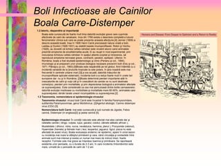 Boli Infectioase ale Cainilor 
Boala Carre-Distemper 
1.2 Istoric, răspandire şi importanţă 
Boala este cunoscută de foarte mult timp datorită evoluţiei grave care cuprinde 
efectivele de caini de vanatoare. Inca din 1769 exista o descriere completă a tuturor 
fenomenelor clinice sub care se poate prezenta aceasta afecţiune.[4] Jenner (1809) a 
descris această boală, însa în 1906 Henri Carré precizează natura virală a bolii. 
Laidlau şi Dunkin (1926-1931) au stabilit bazele imunoprofilaxiei. Robin şi Vechiu 
(1926), au dovedit că lichidul cefalo-rahidian este virulent atunci cand animalele 
prezintă simptome de encefalimielita acută. Ei au reuşit in mod experimental, prin 
inocularea lichidului cefalo-rahidian în spaţiul atlanto-ocipital şi intravenos, să 
reproducă simptome nervoase grave, contractii, paralizii, epilepsii. Ulterior, în 
România, boala a fost studiată epidemiologic şi clinic (Perianu şi col., 1994), 
imunologic şi al prepararii unor produse biologice necesare prevenirii bolii (Edu şi col., 
1971; Pătraşcu şi col., 1983).[5]Boala este raspândită pe tot globul, fiind întânlită cu o 
incidentă variabilă de la ţinuturile tropicale la cele polare, în ţara noastră este mai 
frecventă în centrele urbane mari.[3]La ora acuală, datorită măsurilor de 
imunoprofilaxie aplicate sistematic, incidenta bolii s-a redus foarte mult în unele tari 
europene dar nu şi în România. [2]Boala determină pierderi importante atât în 
crescatoriile de caîni şi vulpi cât şi în crescătorii de canide ce nu sunt destinate 
comerţului, pierderi prin mortalitate, şi prin deprecierea biologică a animalelor afectate 
ce supravieţuiesc. Este considerată ca cea mai periculoasă dintre bolile carnasierelor, 
datorită evoluţiei insidioase cu morbiditate şi mortalitate mare 80-90%, animalele care 
supravieţuiesc rămân tarate uneori incompatibile cu supravieţuirea.[2] 
1.3 Taxonomia, nomenclatura si epidemiologia virusului 
Taxonomia virusului: virusul bolii Carré este încadrat în familia Paramyxoviridare, 
subfamilia Paramyxovirinae, genul Morbilivirus. [2]Agentul etiologic: Canine distemper 
virus (CDV) [5] 
Nomenclatura bolii Carré: mai este cunoscută şi sub numele de Jigodie, Febra 
canină, Distemper (in engleza)[2] şi pesta canină [5]. 
Epidemiologia virusului: În condiţii naturale este afectat mai ales cainele dar şi 
celelalte canide ( dingo, vulpea, lupul, şacalul, coiotul, câinele sălbatic african ), 
Mustelidele ( dihorul, vidra, nurca, nevăstuica, hermina, jderul ), Procyonide (ratonul), 
Hyaenidae (hienele) şi felinele mari ( leul, leopardul, jaguarul, tigrul; pisica nu este 
afectată de acest virus). Boala evolueaza endemic rar epidemic, apare în orice sezon 
cu incidenţa mai mare la sfârşitul primăverii şi vara, când circulaţia şi contactele între 
animale sunt mai intense şi exista un numar mai mare de indivizi tineri, foarte 
receptivi. Formele cele mai grave se întanlesc toamna şi primăvara. Se raportează 
existenta unor perioade, cu o durata de 2-3 ani, în care incidenta îmbonlăvirilor este 
mare, urmată de o perioadă de calm de 1-2 ani. 
 