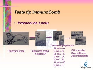 Teste tip ImmunoComb 
• Protocol de Lucru 
Prelevare probă Depunere probă 
în godeul A 
Transferul “pieptenului” 
20 min – A 
2 min – B 
20 min – C 
2 min – D 
2 min – E 
10 min – F 
2 min - E 
Citire rezultat 
Sus: calibrare 
Jos: interpretare 
 
