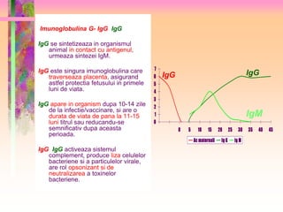 Imunoglobulina G- IgG IgG 
IgG se sintetizeaza in organismul 
animal in contact cu antigenul, 
urmeaza sintezei IgM. 
IgG este singura imunoglobulina care 
traverseaza placenta, asigurand 
astfel protectia fetusului in primele 
luni de viata. 
IgG apare in organism dupa 10-14 zile 
de la infectie/vaccinare, si are o 
durata de viata de pana la 11-15 
luni titrul sau reducandu-se 
semnificativ dupa aceasta 
perioada. 
IgG IgG activeaza sistemul 
complement, produce liza celulelor 
bacteriene si a particulelor virale, 
are rol opsonizant si de 
neutralizarea a toxinelor 
bacteriene. 
7 
6 
5 
4 
3 
2 
1 
0 
IgG IgG 
0 5 10 15 20 25 30 35 40 45 
Ac maternali Ig G Ig M 
IgM 
 
