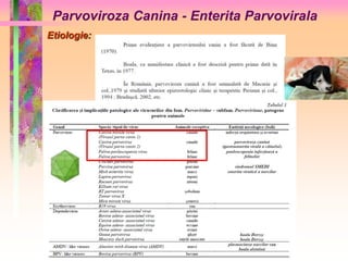 Parvoviroza Canina - Enterita Parvovirala 
Etiologie: 
 