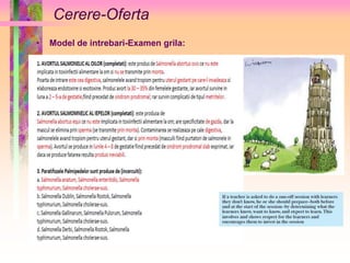 Cerere-Oferta 
• Model de intrebari-Examen grila: 
 