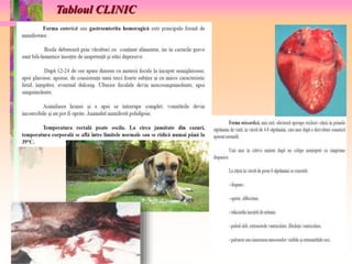 Tabloul CLINIC 
 