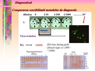 Diagnosticul 
Compararea sensibilitatii metodelor de diagnostic 
 