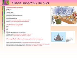 Oferta suportului de curs 
 