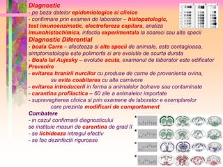 Diagnostic 
- pe baza datelor epidemiologice si clinice 
- confirmare prin examen de laborator – histopatologic, 
test imunoenzimatic, electroforeza capilara, analiza 
imunohistochimica, infectia experimentala la soareci sau alte specii 
Diagnostic Diferential 
- boala Carre – afecteaza si alte specii de animale, este contagioasa, 
simptomatologia este polimorfa si are evolutie de scurta durata 
- Boala lui Aujesky – evolutie acuta, examenul de laborator este edificator 
Prevenire 
- evitarea hranirii nurcilor cu produse de carne de provenienta ovina, 
se evita coabitarea cu alte carnivore 
- evitarea introducerii in ferma a animalelor bolnave sau contaminate 
- carantina profilactica – 60 zile a animalelor importate 
- supravegherea clinica si prin examene de laborator e exemplarelor 
care prezinta modificari de comportament 
Combatere 
- in cazul confirmarii diagnosticului 
se instituie masuri de carantina de grad II 
- se lichideaza intregul efectiv 
- se fac dezinfectii riguroase 
 