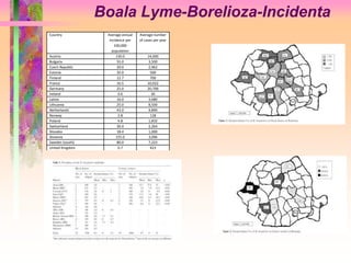 Boala Lyme-Borelioza-Incidenta 
Country Average annual 
incidence per 
100,000 
population 
Average number 
of cases per year 
Austria 130.0 14,000 
Bulgaria 55.0 3,500 
Czech Republic 29.0 2,962 
Estonia 35.0 500 
Finland 12.7 700 
France 16.5 10,022 
Germany 25.0 20,700 
Ireland 0.6 30 
Latvia 16.0 3,680 
Lithuania 25.0 8,500 
Netherlands 43.0 4,890 
Norway 2.8 128 
Poland 4.8 1,832 
Switzerland 30.4 2,264 
Slovakia 18.4 1,000 
Slovenia 155.0 3,096 
Sweden (south) 80.0 7,223 
United Kingdom 0.7 423 
 