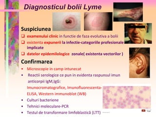 Diagnosticul bolii Lyme 
Suspiciunea 
 examenului clinic in functie de faza evolutiva a bolii 
 existenta expunerii la infectie-categoriile profesionale 
implicate 
 datelor epidemilologice zonale( existenta vectorilor ) 
Confirmarea 
• Microscopie in camp intunecat 
• Reactii serologice ce pun in evidenta raspunsul imun 
anticorpii IgM,IgG: 
Imunocromatografice, Imunofluorescenta-IFA 
ELISA, Western immunoblot (WB) 
• Culturi bacteriene 
• Tehnici moleculare-PCR 
• Testul de transformare limfoblastică (LTT) 
 