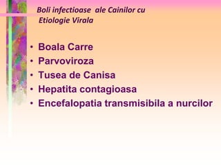 Boli infectioase ale Cainilor cu 
Etiologie Virala 
• Boala Carre 
• Parvoviroza 
• Tusea de Canisa 
• Hepatita contagioasa 
• Encefalopatia transmisibila a nurcilor 
 