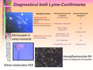 Diagnosticul bolii Lyme-Confirmarea 
Microscopie in 
camp intunecat 
Tehnici moleculare-PCR 
Manifestari clinice Detectie directa prin PCR 
sau cultura 
Detectie indirecta prin 
anticorpi-Ac 
Imunofluorescenta-IFA 
Chituri de diagnostic IFA-Agrolabo 
-STADIUL I(cateva zile-saptamani 
de la muscatura 
capusei) 
EM – Biopsie piele Ser 
STADIUL II(cateva saptamani – 
luni de la muscatura capusei) 
EM diseminat – Biopsie piele 
Cardita – Biopsie 
endomiocard 
Neuroborelioza – LCR 
Ser 
Ser 
Pereche ser/ LCR 
STADIUL III(cateva luni- ani de 
lamuscatura capusei) 
Artrita – Lichid sinovial 
ACA – Biopsie piele 
Neuroborelioza cronica – LCR 
Ser 
Ser 
Pereche ser/ LCR 
 