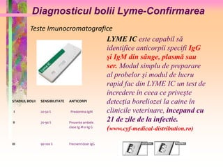 Diagnosticul bolii Lyme-Confirmarea 
Teste Imunocromatografice 
STADIUL BOLII SENSIBILITATE ANTICORPI 
I 20-50 % Predomina IgM 
II 70-90 % Prezente ambele 
clase Ig M si Ig G 
III 90-100 % Frecvent doar IgG 
LYME IC este capabil să 
identifice anticorpii specifi IgG 
şi IgM din sânge, plasmă sau 
ser. Modul simplu de preparare 
al probelor şi modul de lucru 
rapid fac din LYME IC un test de 
încredere în ceea ce priveşte 
detecţia boreliozei la caine în 
clinicile veterinare, incepand cu 
21 de zile de la infectie. 
(www.cyf-medical-distribution.ro) 
 