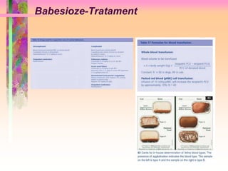 Babesioze-Tratament 
 