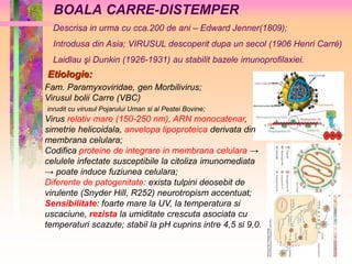 BOALA CARRE-DISTEMPER 
Descrisa in urma cu cca.200 de ani – Edward Jenner(1809); 
Introdusa din Asia; VIRUSUL descoperit dupa un secol (1906 Henri Carré) 
Laidlau şi Dunkin (1926-1931) au stabilit bazele imunoprofilaxiei. 
Etiologie: 
Fam. Paramyxoviridae, gen Morbilivirus; 
Virusul bolii Carre (VBC) 
inrudit cu virusul Pojarului Uman si al Pestei Bovine; 
Virus relativ mare (150-250 nm), ARN monocatenar, 
simetrie helicoidala, anvelopa lipoproteica derivata din 
membrana celulara; 
Codifica proteine de integrare in membrana celulara → 
celulele infectate susceptibile la citoliza imunomediata 
→ poate induce fuziunea celulara; 
Diferente de patogenitate: exista tulpini deosebit de 
virulente (Snyder Hill, R252) neurotropism accentuat; 
Sensibilitate: foarte mare la UV, la temperatura si 
uscaciune, rezista la umiditate crescuta asociata cu 
temperaturi scazute; stabil la pH cuprins intre 4,5 si 9,0. 
 