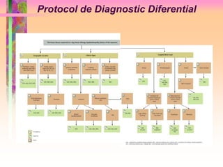 Protocol de Diagnostic Diferential 
 