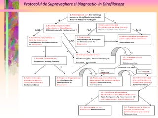 Protocolul de Supraveghere si Diagnostic- in Dirofilarioza 
 