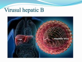 Virusul hepatic B
 