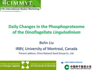 Daily Changes in the Phosphoproteome
 of the Dinoflagellate Lingulodinium

                 Bolin Liu
   IRBV, University of Montreal, Canada
    Present address: China National Seed Group Co., Ltd.
 