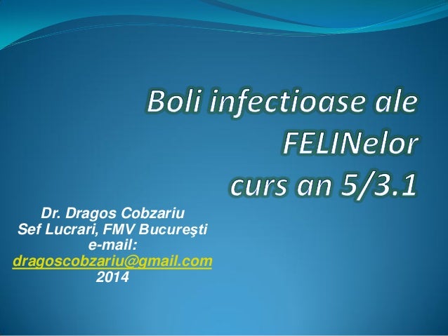 FeLV si FIV Boli pisici an 5 curs Diagnostic si Profilaxie
