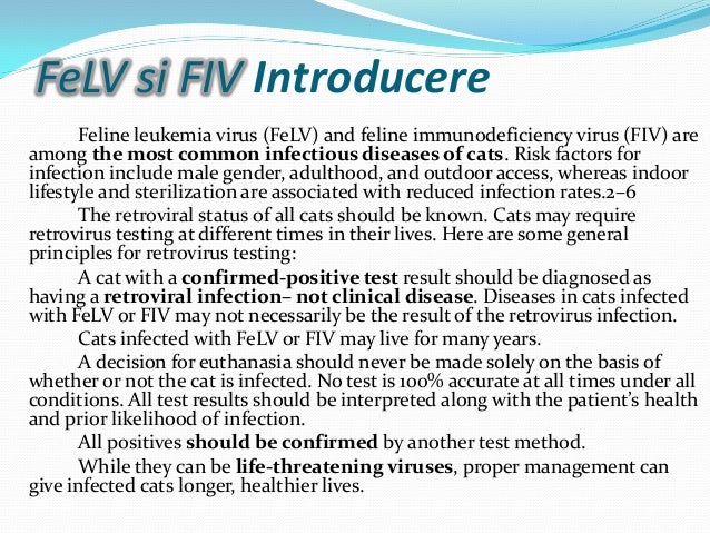 FeLV si FIV Boli pisici an 5 curs Diagnostic si Profilaxie