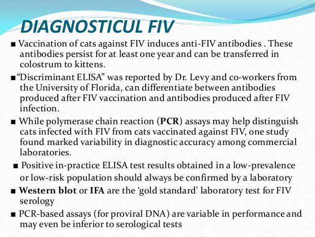 FeLV si FIV Boli pisici an 5 curs Diagnostic si Profilaxie