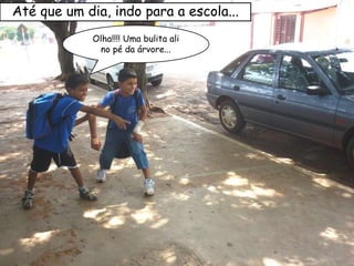 Olha!!!! Uma bulita ali no pé da árvore... Até que um dia, indo para a escola... 